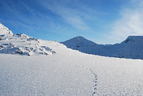 Stob Coire Sgreamhach 